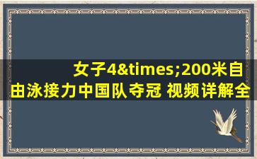 女子4×200米自由泳接力中国队夺冠 视频详解全过程